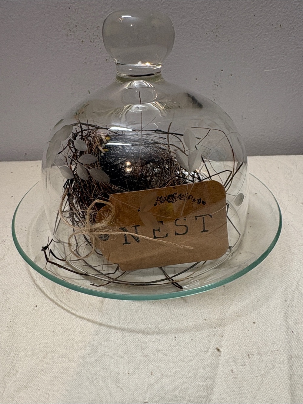 Glass Cloche Dome with Natural Decorative Nest